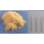 Biodegradable resin for injection molding (100% natural biomass-based)