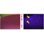 Uses of black light in daily life and hobbies: Checking for dust and dirt.