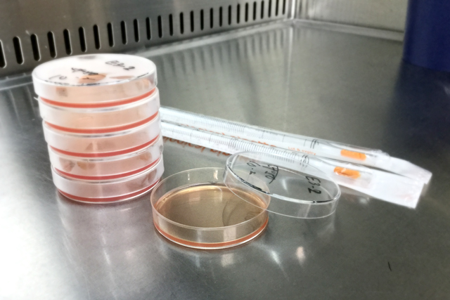 抗ウイルス・抗菌部材の活性評価受託サービス※受託試験事例集進呈中