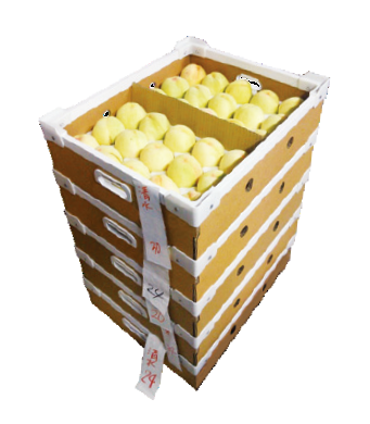 強化段ボール『『耐水性』を生かした農産物用コンテナー』