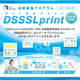 DSSSLprint IPROS-80.jpg