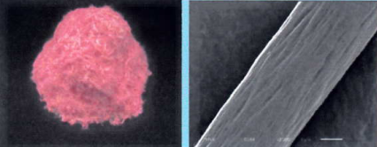 難燃・消臭・吸湿発熱繊維素材『AFIBER』