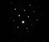 PIP自然触媒とは