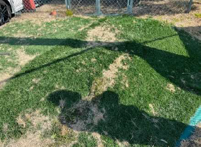 人工芝張替作業・清掃