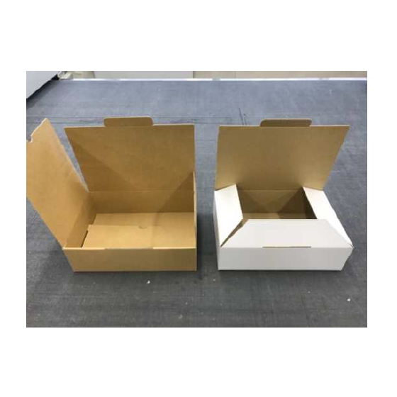 image_04.png