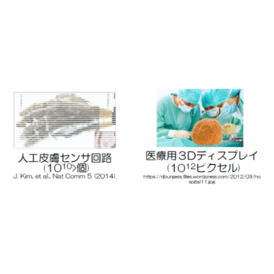T25-014_1.png