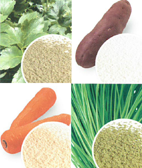 野菜粉末『国産野菜粉末シリーズ』