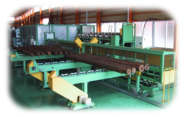 マイクロ波丸太乾燥処理装置