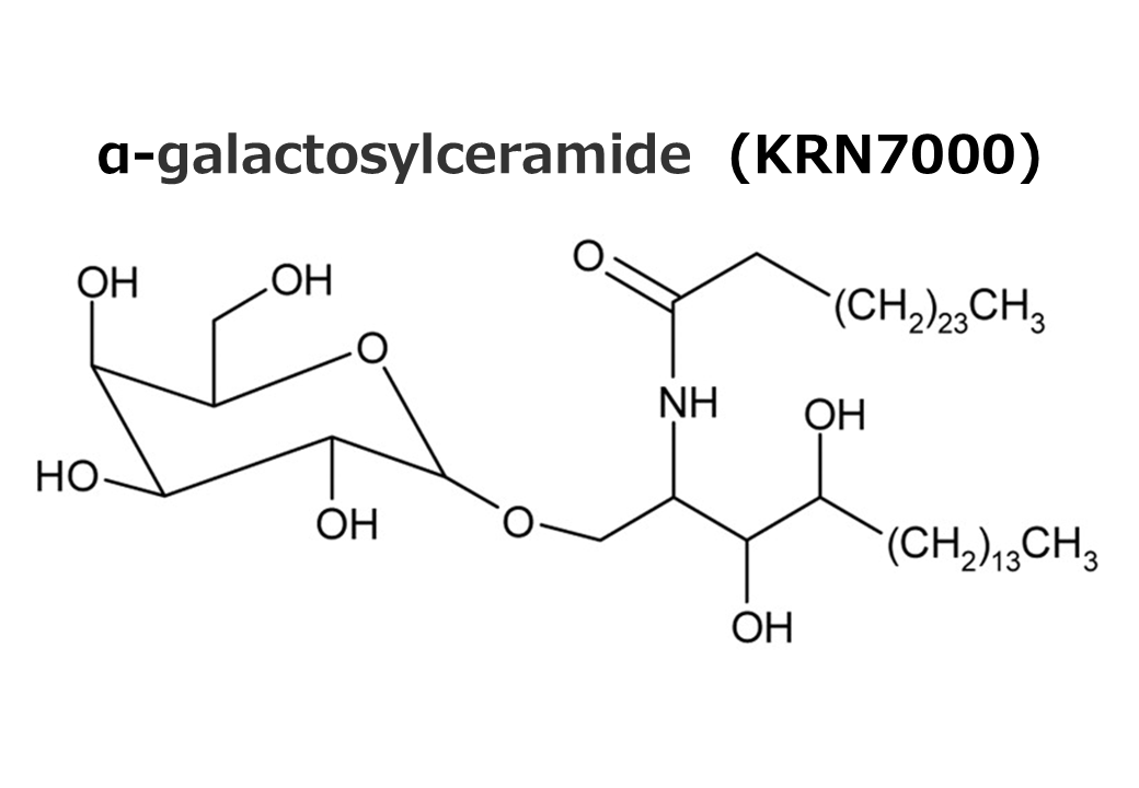 GMP準拠 α-GalCer (KRN7000)