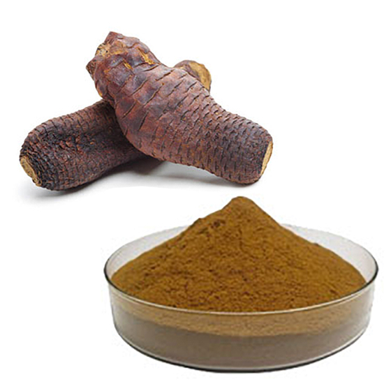Echinacea Purpurea Extract.jpg