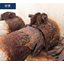The mechanism of metal corrosion and the unique characteristics of copper.