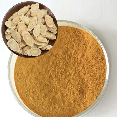 Astragalus