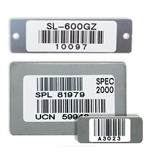 ブラヘア・アルマータ　シルバー葉　ラベルS 今年最終出品 image-35.png