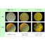 Light guide plate surface pattern