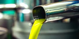 サプリメントのOEM製造委託【カメリナオイル】