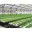 Plant factory system solution