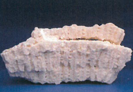 機能性素材『化石サンゴパウダー』