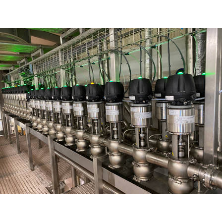 IMG_3195-wyspa ZPL2.jpg