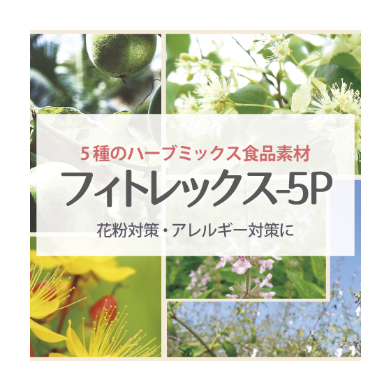 食品フィトレックス5P_251029.jpg