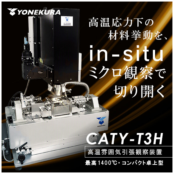 caty_t3h_2.jpg