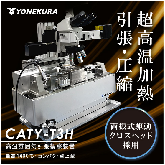 caty_t3h_2.jpg