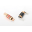 Fuse "EVFP-&phi;20 500V"