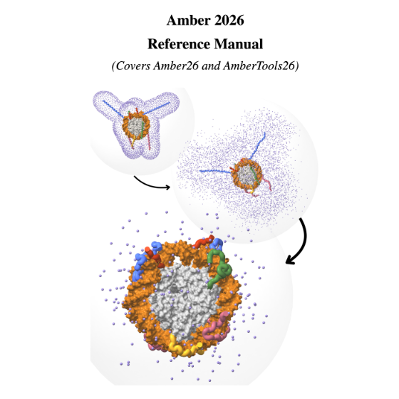 Amber26_cover.png