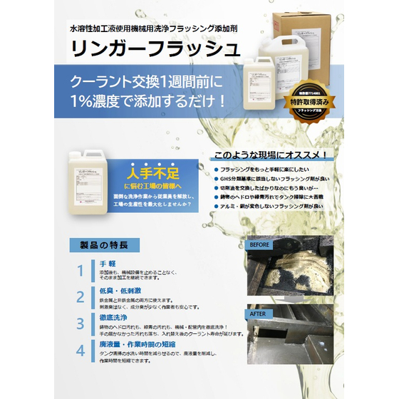 リンガーフラッシュ_チラシ.jpg
