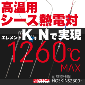 高温用シース熱電対『HOSKINS2300/SC1000H＆N』