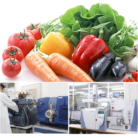 Food inspection (residual pesticide testing)
