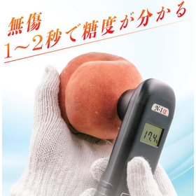 非破壊糖度計『N-1α』
