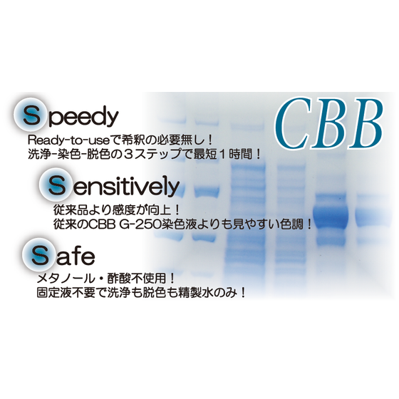 CBB.png
