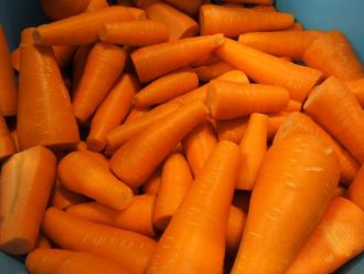 【動画解説付き事例】にんじんの連続搾汁