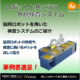 Appearance inspection system conduc...