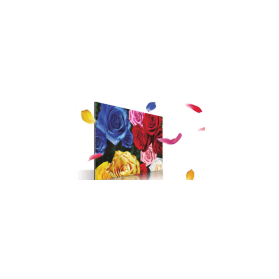 0298A_1.png