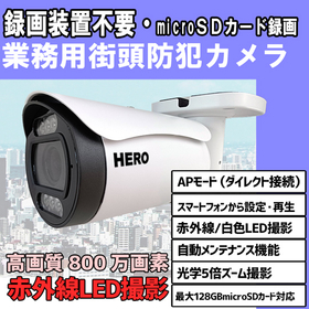 街頭 防犯カメラ カメラ内部のSDカードへ録画します