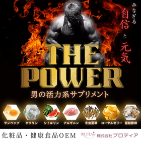 <男性向け活力系サプリメント>THE POWERのご提案