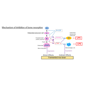 Tohoku Univ. Technology : Inhibitor of bone resorption : T22-213
