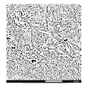 Tohoku University Technology: Co-based alloy powder for electron beam lamination shaping: T16-191