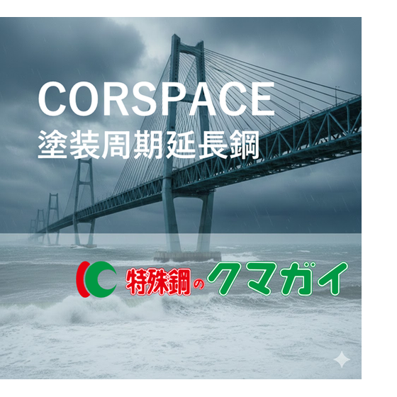 260130_corspace.png