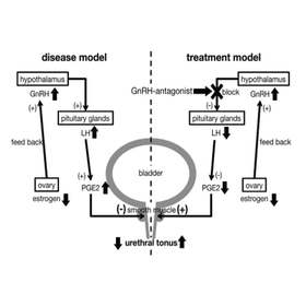 Tohoku Univ. Technology : Drugs for Stress urinary incontinence: T16-194