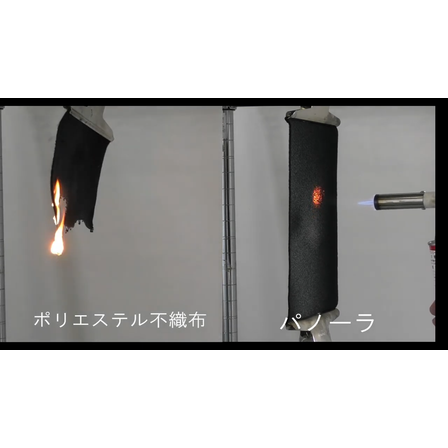 videoframe_47302.png