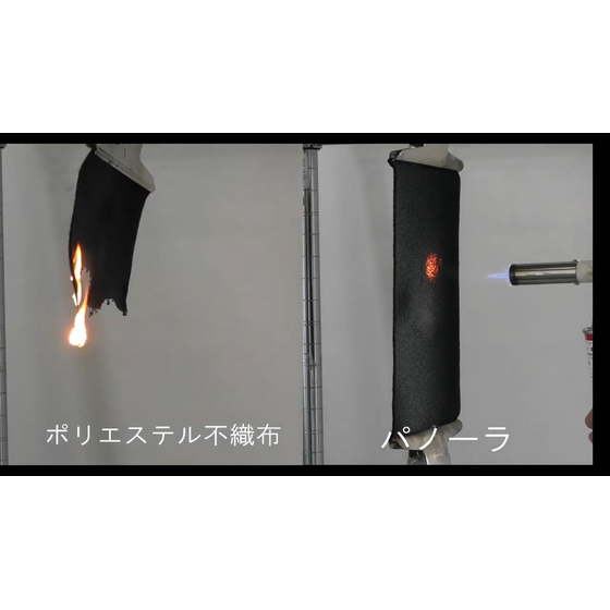 videoframe_47302.png