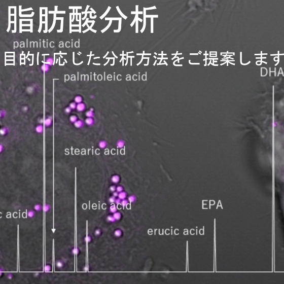 脂肪酸分析 ＜少量サンプルも可能＞【分析事例】
