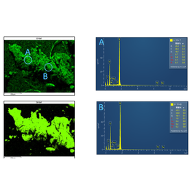 異物分析・異物調査<最短24hで解析プランをご提案!>