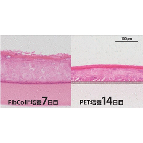 FibColl v PET-2.jpg