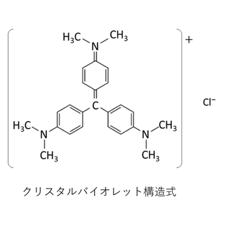 バイオフィルムCV構造.png