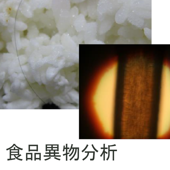 食品異物分析＜生物系試料～毛髪の判定事例～＞