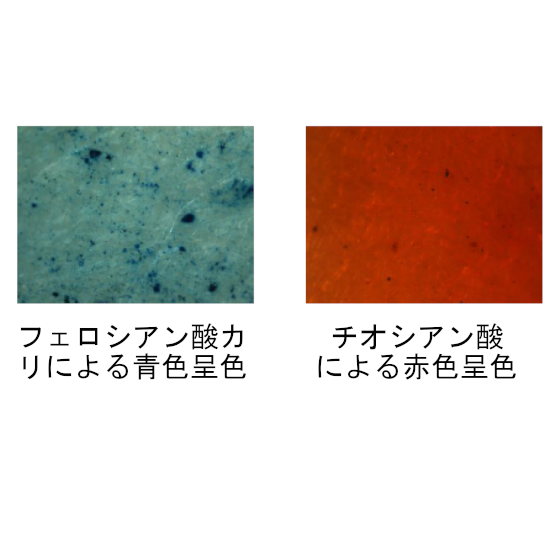 食品異物分析＜製品の変色・腐敗などの状況を確認します。＞