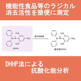 抗酸化能評価　DPPH法